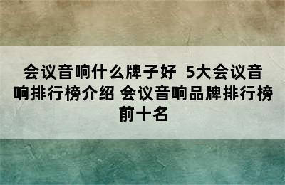 会议音响什么牌子好  5大会议音响排行榜介绍 会议音响品牌排行榜前十名